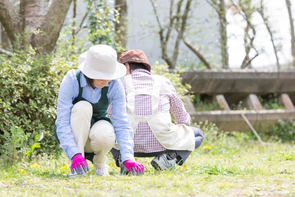 雑草対策でもう悩まない！長野の気候に合った「手入れの楽な庭づくり」